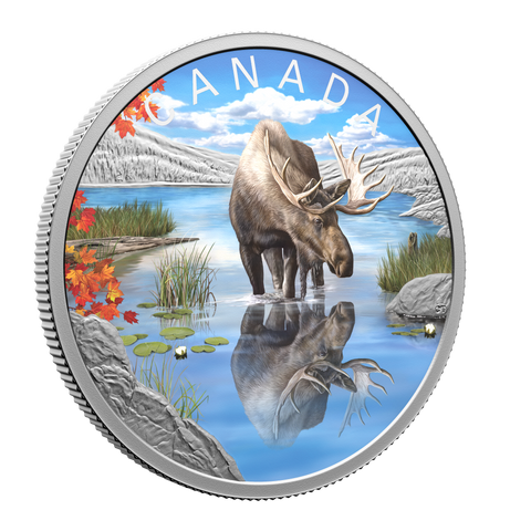 2024 Royal Canadian Mint - Wildlife Reflections: Moose 1oz Silver Proof Coloured Coin