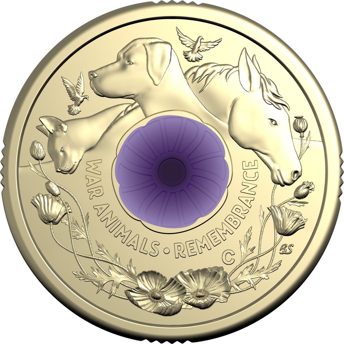 2024 Remembrance Day 'Purple Poppy' $2 'C' Mintmark Coin – Australian ...