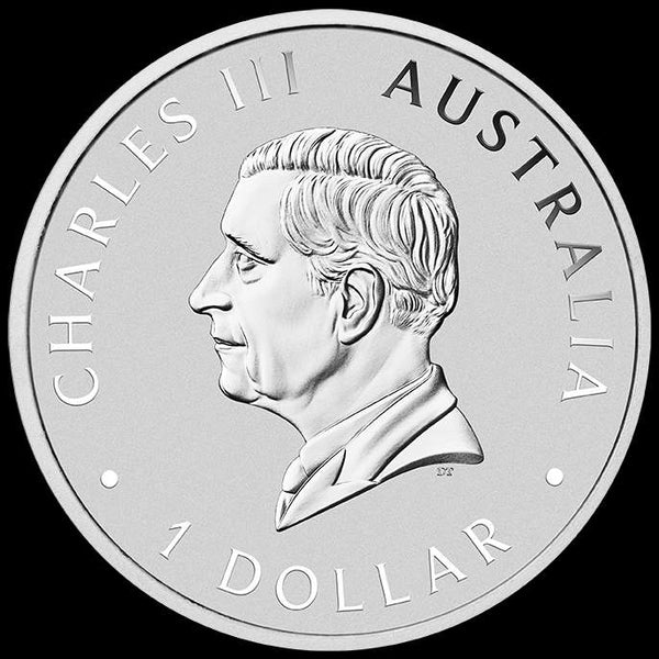 2025 Brisbane Money Expo Koala' 1oz Silver Coloured Coin on Card