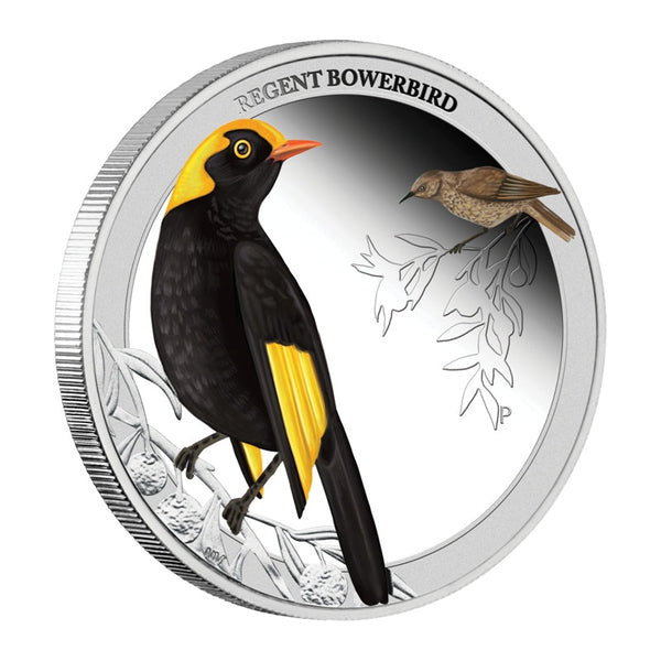 2013 Birds of Australia 'Regent Bowerbird' 1/2oz Silver Coloured Proof Coin