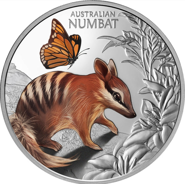 2025 Baby Numbat 1oz Silver Coloured Proof Coin