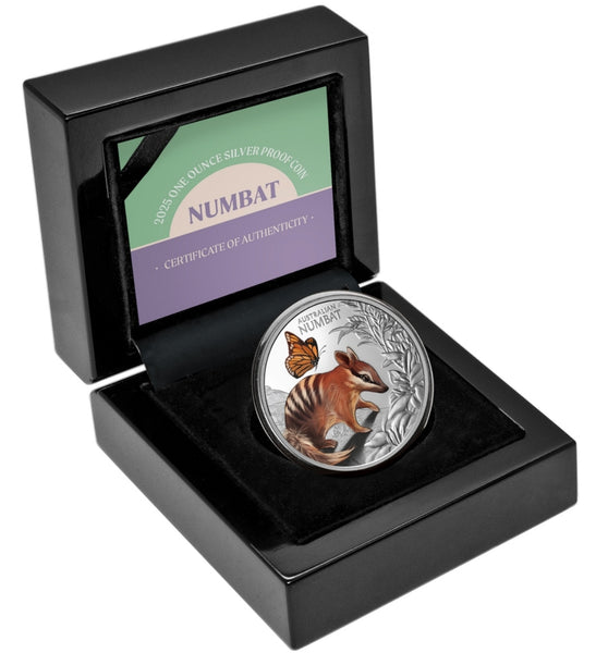 2025 Baby Numbat 1oz Silver Coloured Proof Coin