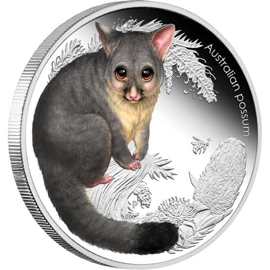 2012 Australian Bush Babies II 'Possum' 1/2oz Coloured Silver Proof Coin